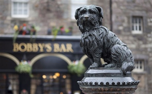 Chú chó nhỏ Greyfriars Bobby quyết không rời mộ chủ nhân trong 14 năm là một câu chuyện cảm động, ý nghĩa về một tình bạn chân thành đã khắc sâu trong lòng nhiều người