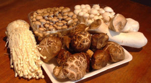 Asian_mushrooms