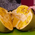 we-tried-jackfruit-the-huge-tree-fruit-that-supposedly-tastes-like-pulled-pork-20160816213458
