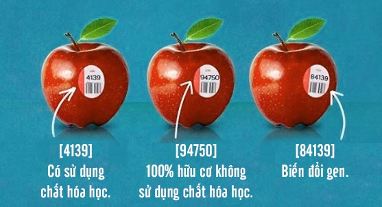Nếu để ý kĩ, bạn sẽ phát hiện trên các quả táo bán trong siêu thị thường có dán tem số. Dãy số đó chính là thông tin về thành phần của trái táo, thể hiện chúng thuộc loại biến đổi gen, có sử dụng chất hóa học hay 100% là hữu cơ.