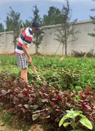  Hoài Linh chăm vườn rau nhỏ trong khuôn viên nhà thờ tổ của anh ở quận 9, TP HCM