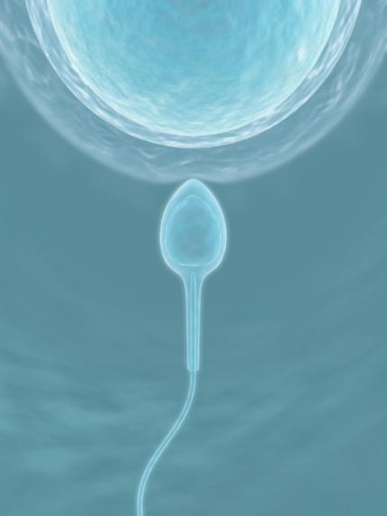 Một phần của việc xác định nguyên nhân gây vô sinh ở nữ giới là kiểm tra xem liệu vòi trứng của bạn có bị tắc do viêm nhiễm hay không.