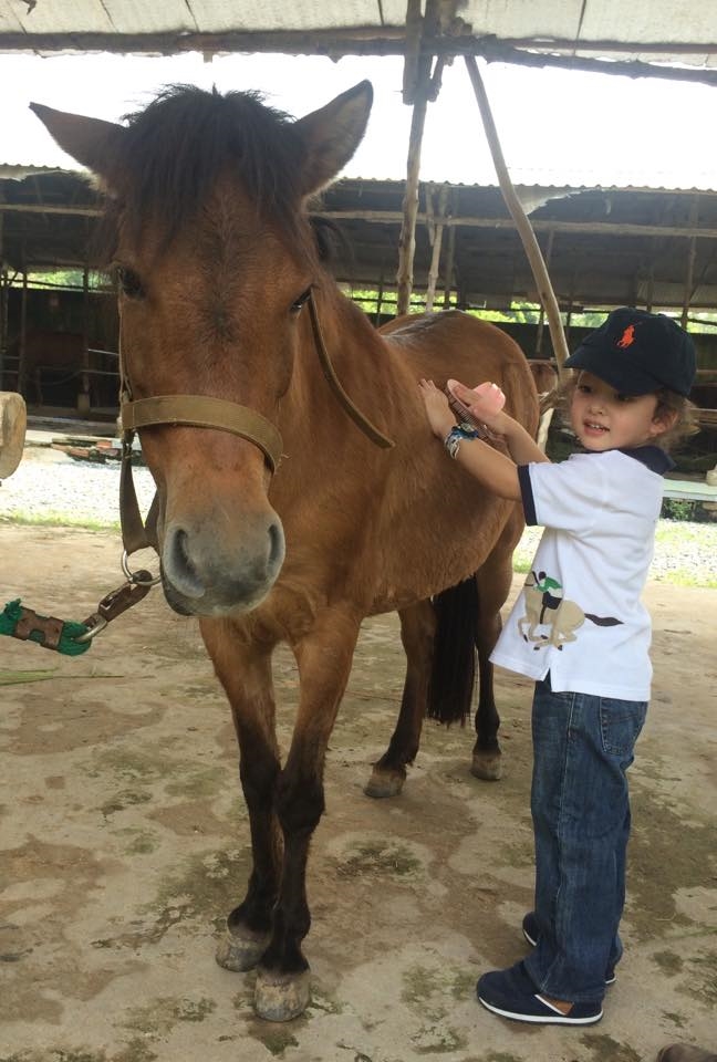 Không chỉ được trải nghiệm cưỡi ngựa, Tôm và Tép còn được mẹ Hồng Nhung hướng dẫn cách chăm sóc những chú ngựa này. Read more at http://bestie.vn/2016/09/moi-4-tuoi-tom-tep-nha-hong-nhung-da-ve-tranh-danh-dan-than-sau#5Rrf6fvLfCg5JeWZ.99