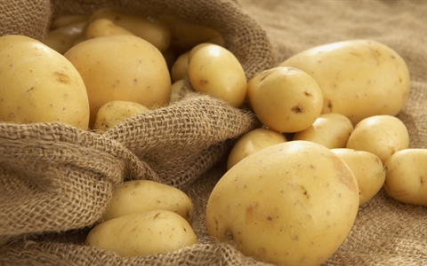 Cháo khoai tây chứa chất kiềm sinh vật làm cho thai nhi bị di dạng