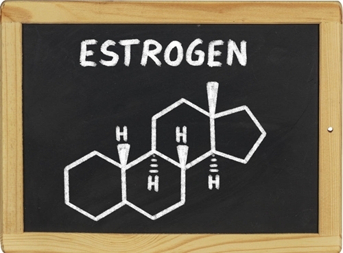 Dư thừa estrogen xấu là một tín hiệu không tốt. (Ảnh minh họa)