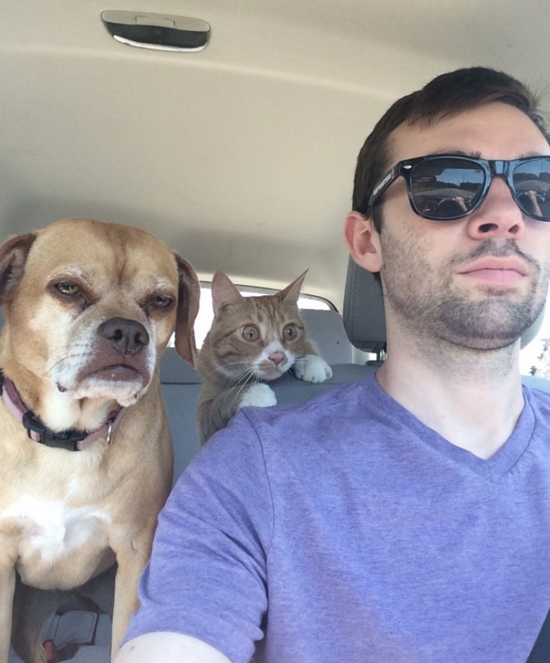 Biểu cảm hài hước của cặp đôi chó - mèo khi lần đầu được ngồi ôtô. 