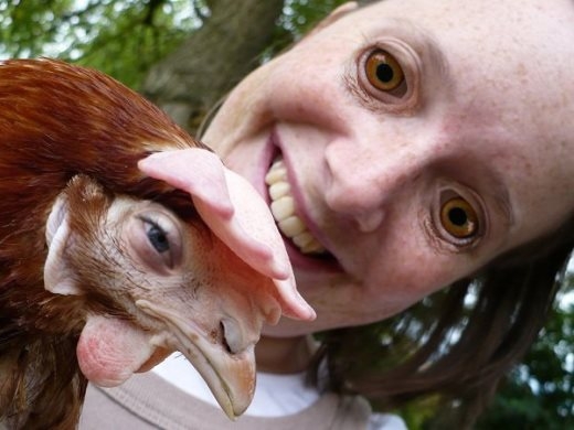Chỉ đơn giản là đổi cặp mắt của con gà với cô gái nhưng cư dân mạng này đã tạo được bất ảnh khiến nhiều người hết hồn