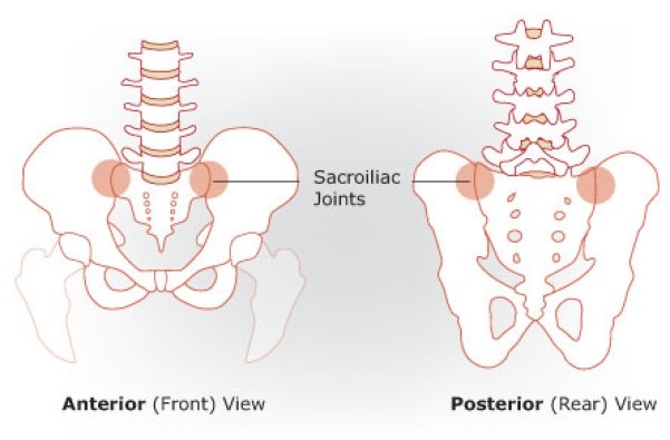 Điểm khuyết venus ở nữ là đoạn nối giữa xương chậu và phần bên trên của cơ thể.