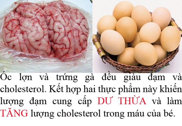 Óc lợn và trứng gà nấu cùng nhau làm tăng lượng cholesterol trong máu ở trẻ.