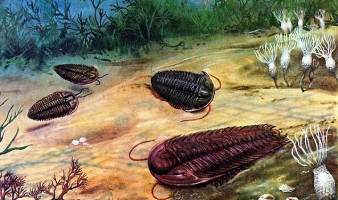 Bọ ba thùy, một loài sinh vật có từ 600 triệu đến 260 triệu năm trước đây