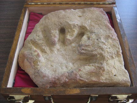 Dấu hằn của một bàn tay người đầy đủ được tìm thấy trong tảng đá vôi 110 triệu năm tuổi ở Glen Rose, Texas, Mỹ