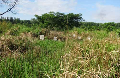 Những ngôi mộ ở trường bắn Long Bình