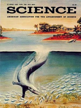 Ấn bản Science năm 1983 với hình vẽ con Pakicetus