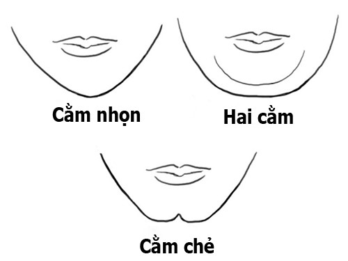 hinh-dang-cam