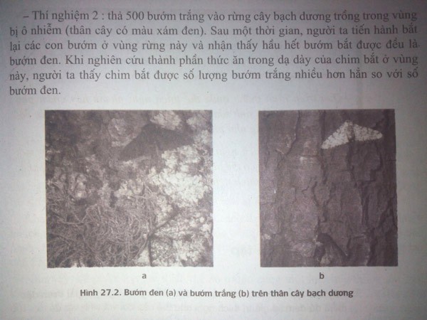 Sách giáo khoa ở Việt Nam. (Ảnh: Sinh học lớp 12, ấn bản năm 2015, trang 121)