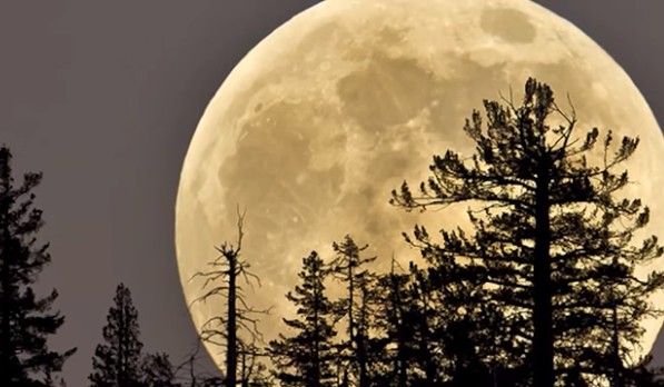 Siêu mặt trăng ngày 14/11 lớn hơn 14% so với bình thường