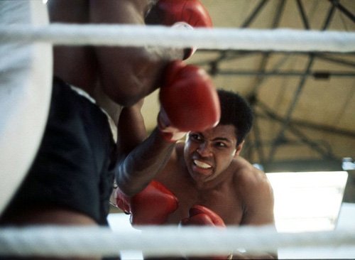 Huyền thoại quyền Anh Muhammad Ali luôn kiêng làm "chuyện ấy" tới 1 tháng rưỡi trước mỗi trận đấu lớn