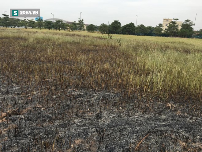 Hiện trường vụ cháy cánh đồng lau ở KĐT Việt Hưng 