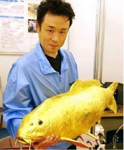 Ngư dân may mắn bắt được chú cá kì lạ như dát vàng tại Đài Loan