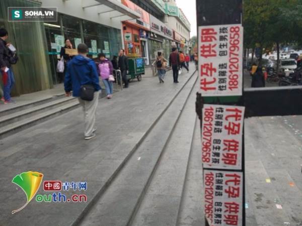 Thông tin quảng cáo "bán trứng", "tặng trứng", "đẻ thuê"... xuất hiện đầy trên đường phố Bắc Kinh.