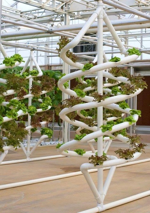 Nếu bạn có thời gian và đầu tư một chút hãy nhặt nhạnh những ống nước nhựa về lắp thành hình xoắn như này và xếp chúng để trồng rau