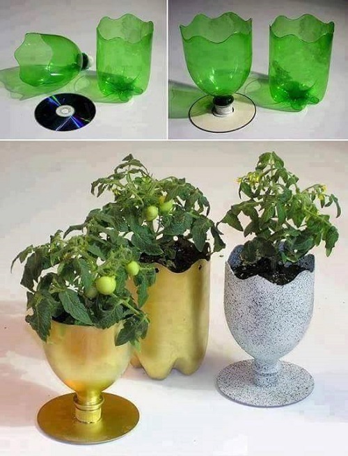 Biến chai nhựa và đĩa CD thành chiếc ly handmade rồi trồng rau lên. Ly rau này có thể để trên bàn vừa ăn vừa trưng bày nữa đó!