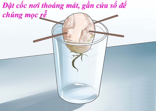 Để nơi thoáng mát