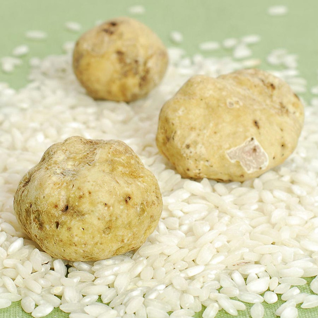 Nấm truffle trắng là một trong những thực phẩm đắt đỏ nhất thế giới