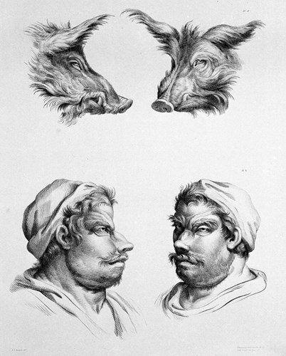 Hình ảnh con người tiến hóa từ lợn lòi