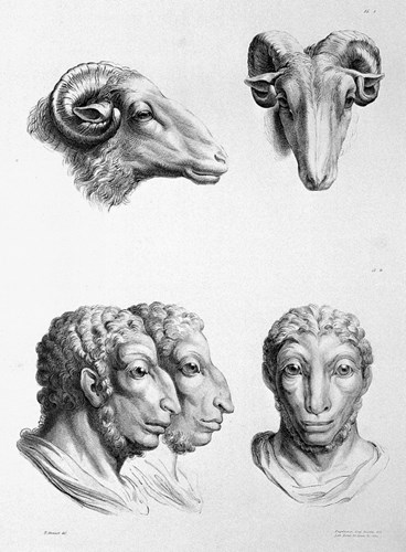 Người tiến hóa từ cừu. Những bức hình được họa sĩ Charles Le Brun chia sẻ lên trên mạng xã hội và nhận được rất nhiều sự quan tâm của cộng đồng mạng