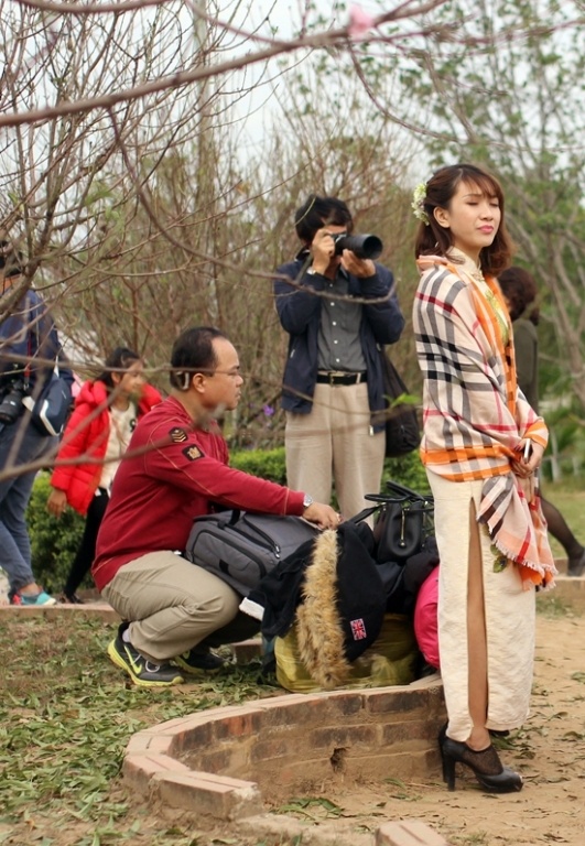 Mặc chiếc sườn xám xẻ cao quyến rũ, thiếu nữ này dùng tạm chiếc khăn choàng để giữ ấm sau buổi chụp ảnh tại vườn cúc họa mi ở Nhật Tân