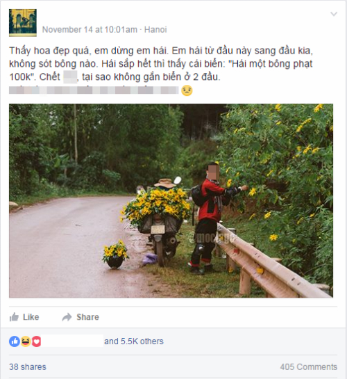 Bức ảnh chụp nam thanh niên vặt hoa dã quỳ gây sốt trên mạng