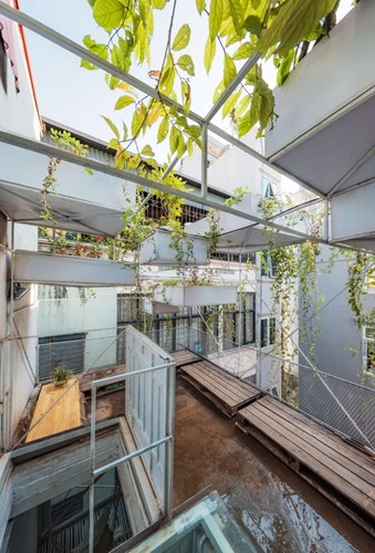 Hệ thống cây xanh này giúp che mát cho ngôi nhà và là nơi các kiến trúc sư thư giãn.