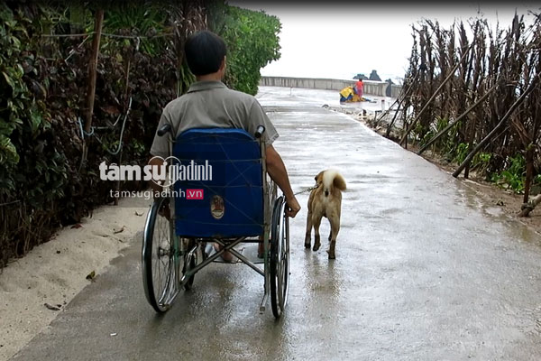 Người duy nhất ở Việt Nam huấn luyện chó kéo xe phục vụ mình suốt 10 năm