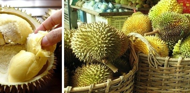 Đây là loại trái cây được nhiều người châu Á yêu thích, nhưng hương vị của nó khiến nhiều người không quen ăn phải bịt mũi bỏ chạy..