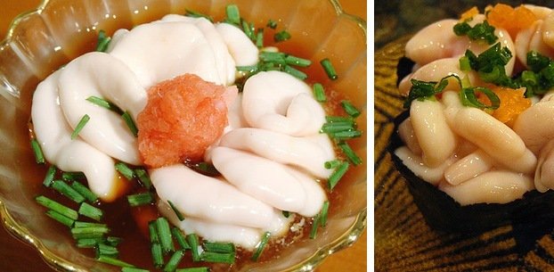 Là một loại thực phẩm nổi tiếng của Nhật Bản. Thoạt đầu cái tên Bạch tử sẽ khiến bạn tưởng tượng đến một món hấp dẫn nhưng nếu bạn biết được nguồn gốc thật sự của nó, đảm bảo bạn sẽ phải e ngại. Nó chính là từ tinh hoàn của cá nóc