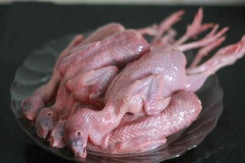 Việc lựa chọn và bảo quản thịt chim cút cũng không quá rườm rà, khó khăn. (Ảnh: nguồn internet).
