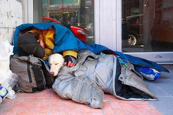 Đối với những người vô gia cư này, chỉ cần một chủ một chó được ở bên nhau, giá rét nào cũng có thể vượt qua, đau đớn nào cũng có thể xoa dịu.