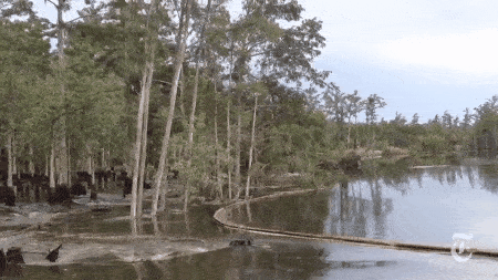 Hố sụt nằm dưới lòng hồ là một trong những hiện tượng tự nhiên khiến nhiều người kinh hãi nhất. Hiện tượng hố sụt xảy ra ở những nơi có cấu trúc địa chất đặc biệt. Trong ảnh là cảnh tượng hố sụt dưới hồ xảy ra ở bang Louisiana, Mỹ.