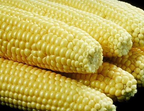 7_corn_GMO_veggie